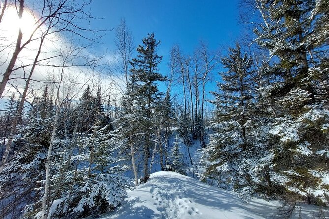 Hok Skiing Introduction Review: A Unique Experience