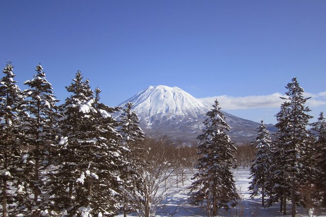 Hokkaido Niseko Ski Day Tour（Depart From Sapporo）