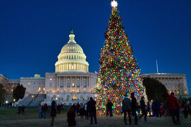 Holiday Lights Private Night Bus Tour Review