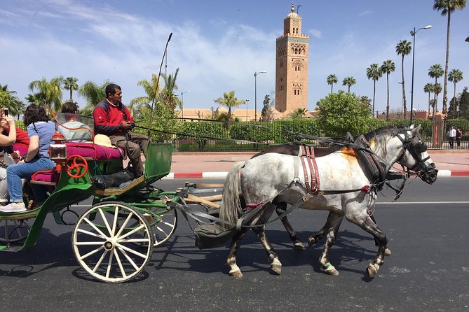 Horse Carriage Ride in Marrakech - Tour Overview