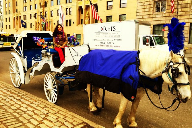 Horse Carriage Tour in New York Citys Central Park Small Loop - Included Amenities