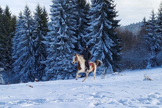 Horse Riding Day Trip in the Rila Mountain