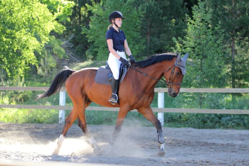 Horse Riding in Nuwara Eliya - Experience Highlights
