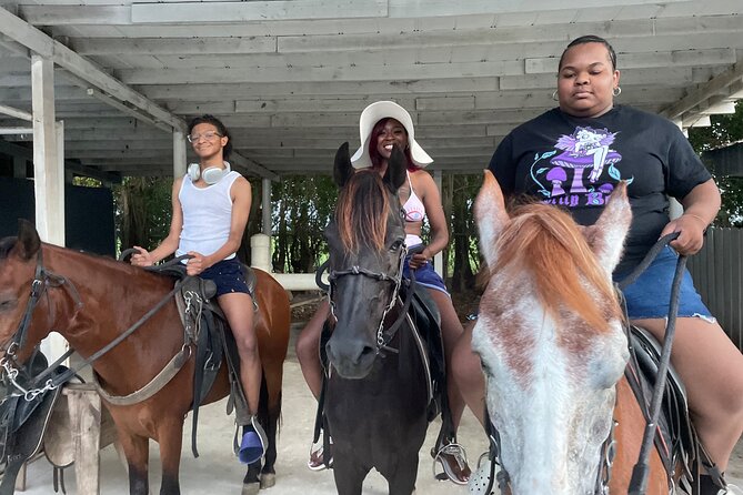 Horseback Experience in Miami - Overview of the Horseback Experience