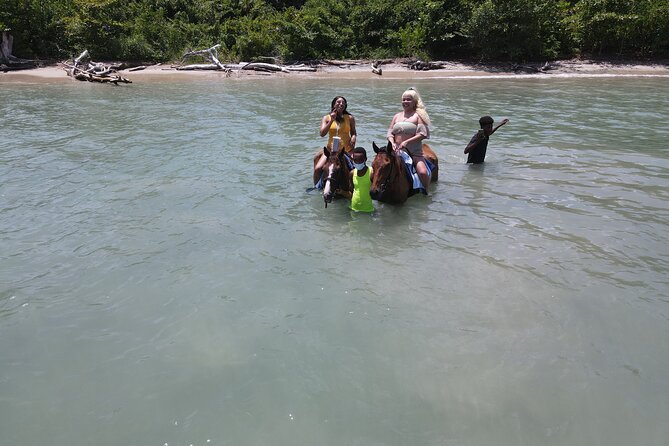 Horseback Ride and Swim in Ocho Rios With Transportation - What to Expect