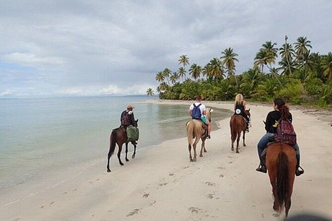 Horseback Riding Along the Beaches of Punta Cana and Macao - Experience Punta Canas Beaches