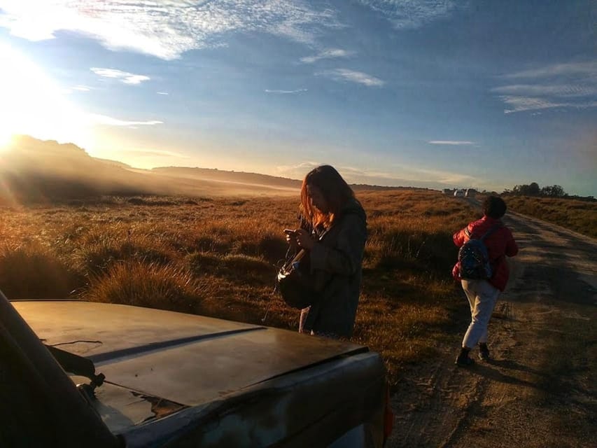 Horton Plains: Discover Real Essence of Central Highland