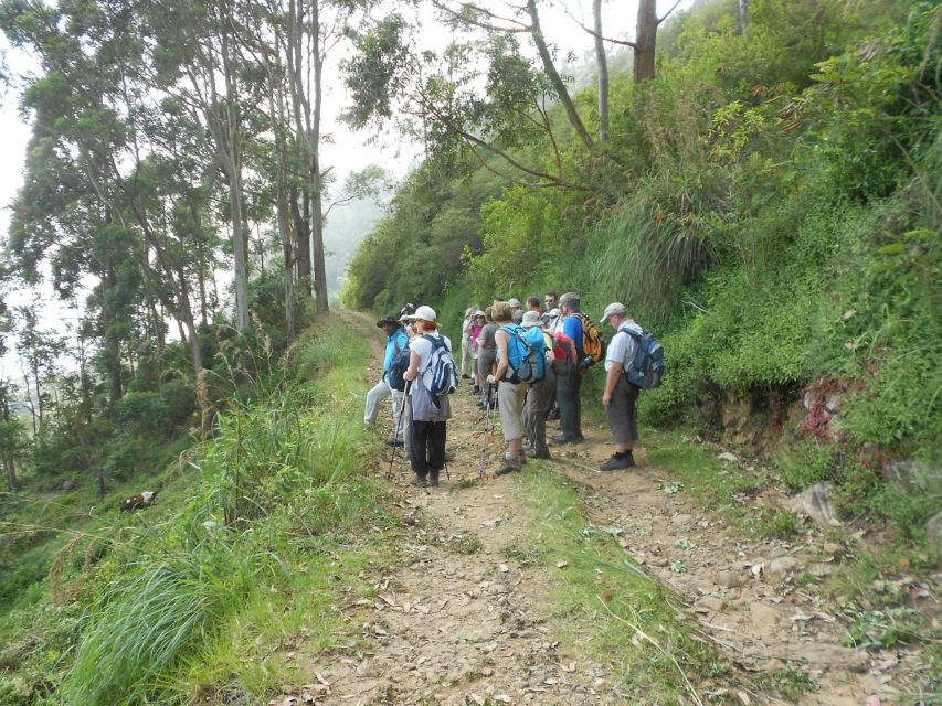 Horton Plains: Pekoe Trail Stage 11 Hiking Trip to Udaweriya