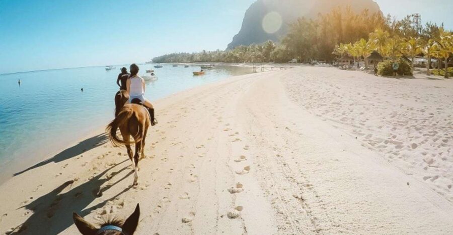 Hurghada: Desert and Sea Horseback Riding Tour With Transfer