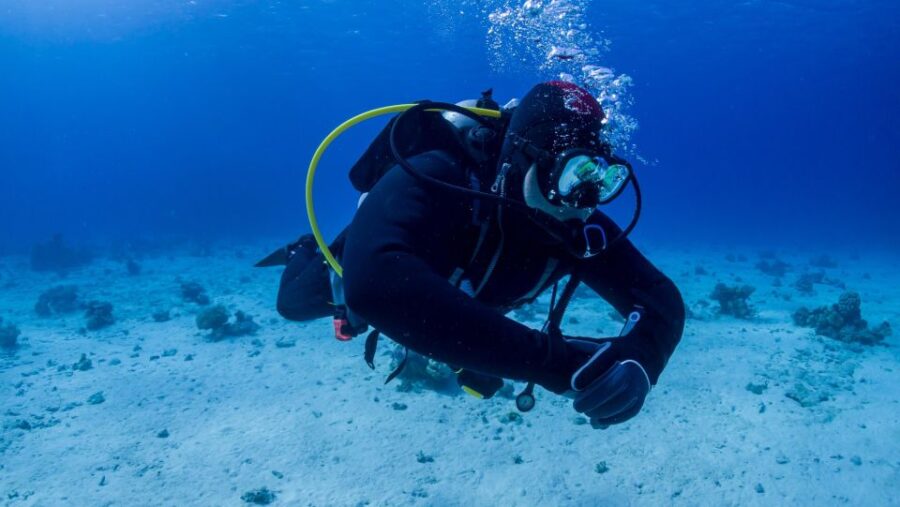 Hurghada: Diving and Snorkeling Tour With Transfers