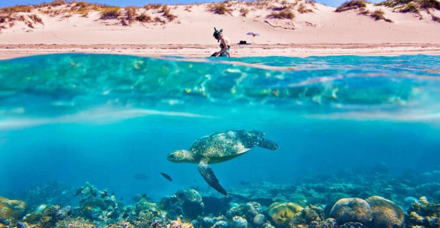 Hurghada: Giftun Island Tour With Snorkeling & Buffet Lunch