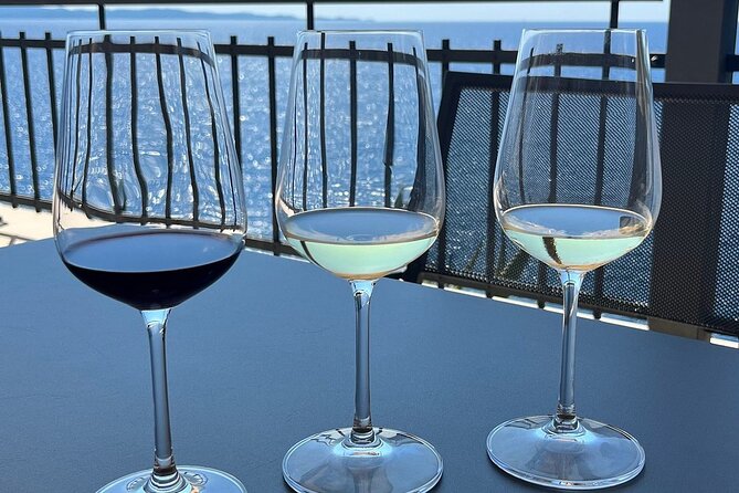 Interactive Wine Tour in Dubrovnik - Tasting Menu and Pairings