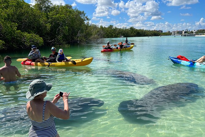 Island Tour by Pedal HOBIE / Kayak / SUP – Fort Myers Beach