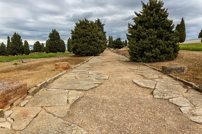 Italica Trip