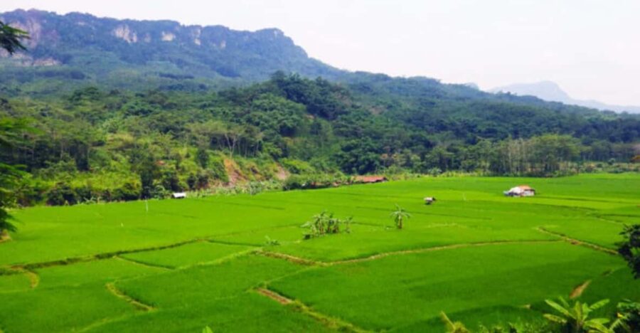 Jakarta: Botanical Garden, Waterfall, Village & Rice Field