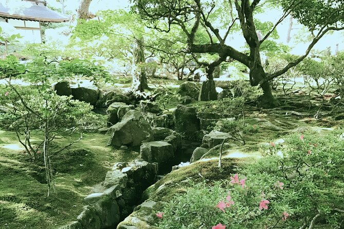 Japan Kyoto Online Tours Virtual Experience