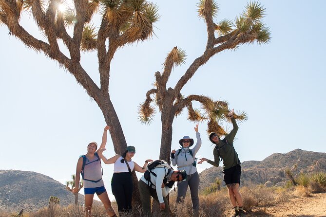 Joshua Tree Full Day Private Tour and Hike - Guided Hike