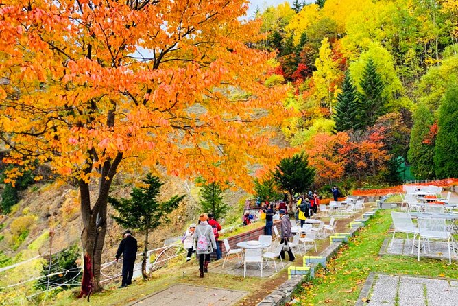 Jozankei Autumn Leaves Day Tour by Private Car