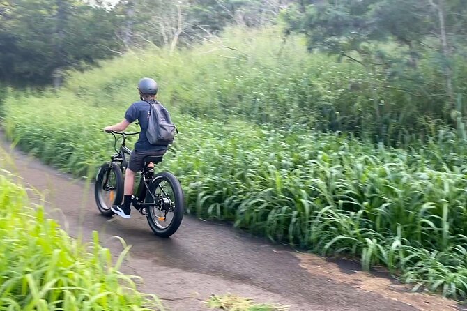 Kaanapali to Kapalua Maui Explorer Electric Bike Rental - Pricing