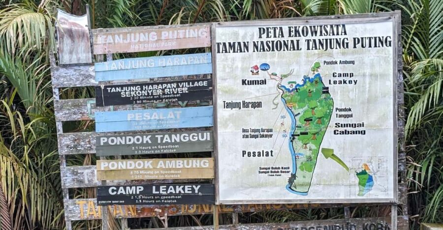 Kalimantan Orangutan 4 Days Trip (Start From Bali).