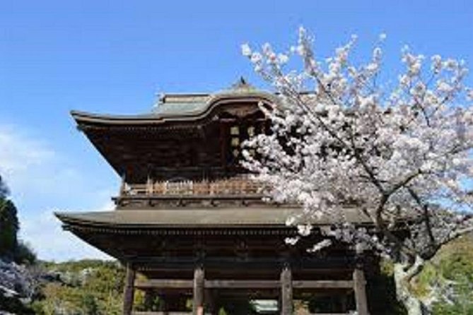 Kamakura Private Custom Tour