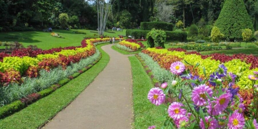 Kandy and Pinnawala: Private Day Trip From Colombo Harbor