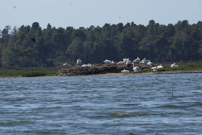 Karavasta Lagoon and Boat Trip – Daily Tour From Tirana