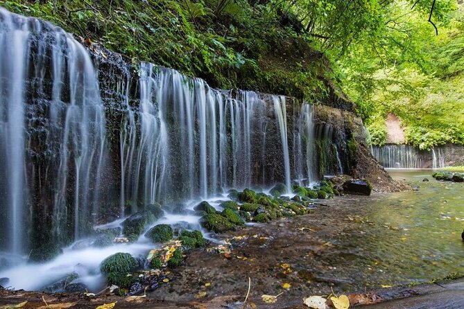Karuizawa Half-Day Private Trip With Government-Licensed Guide