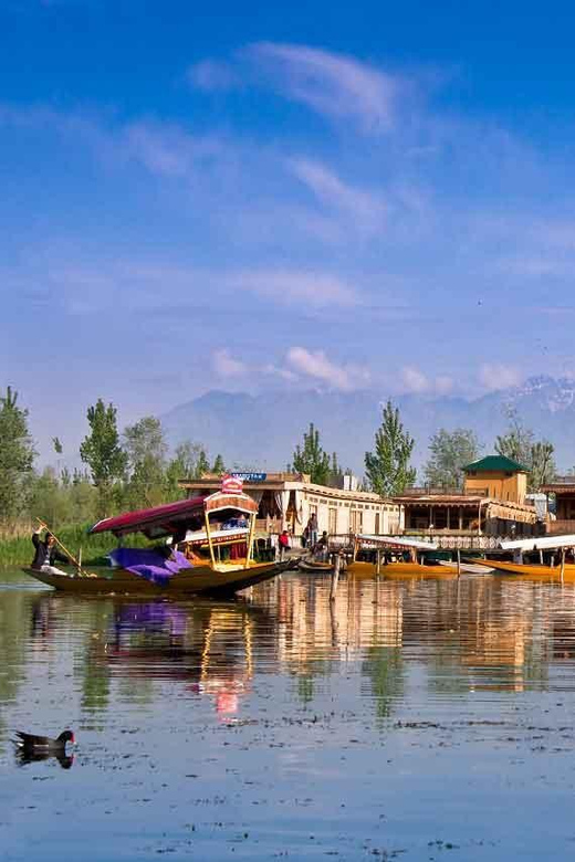 Kashmir Millennial Special Tour 4 Nights 5 Days