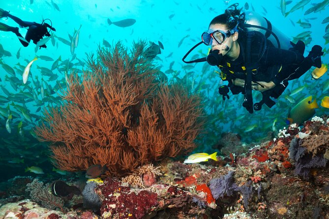 Kauai Boat Dive for Non-Certified Scuba Divers