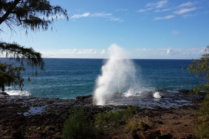 Kauai Shore Excursion – Waimea Canyon Adventure Tour – Nawiliwili