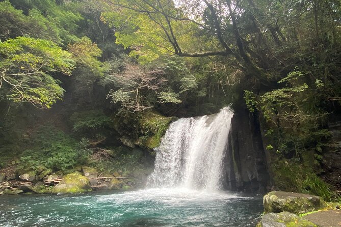 Kawazu Seven Falls Guided Tour - Pickup Information