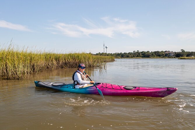 Kayak Activity and Sightseeing in Dolphin Safari Review