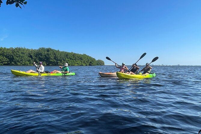 Kayak Adventure at Shell Key Preserve Review - Highlights of the Experience