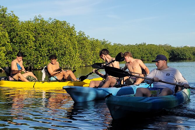 Kayak Through Mangrove Forests Review