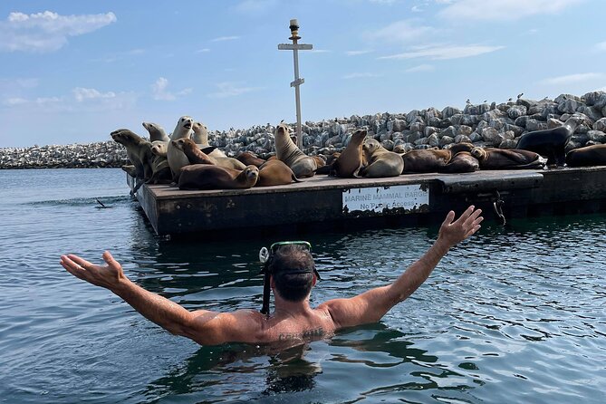 Kayaking With Sea Lions in a Calm Beautiful Harbor - Overview of the Kayaking Experience