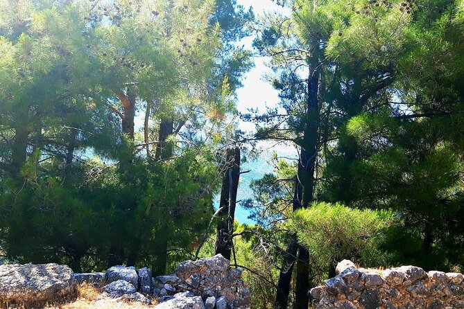 Kefalonias Cultural Wonders and Culinary Delights - Cultural Highlights