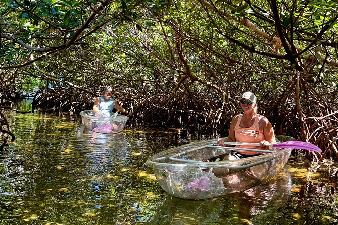 Key West Kayak Eco Tour | An Eco-Friendly Adventure Awaits!