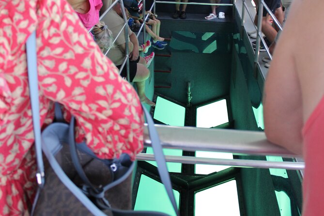 Key West Tours From Miami: Dolphin Discovery, Snorkeling & More ! - Overview of Key West Tours