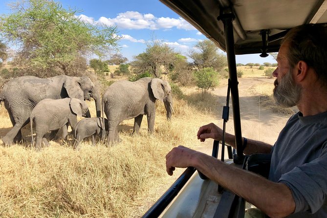 Kilimanjaro: Lemosho Route and Camping Safari
