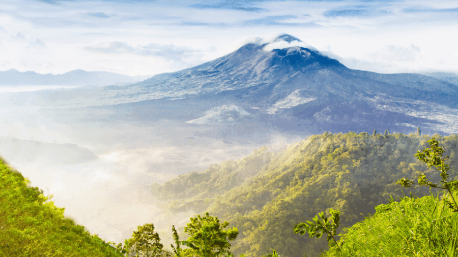 Kintamani All In: Tegalalang, Tirta Empul, Penelokan, Etc