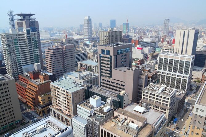 Kobe : Private Custom Tour (Excursion to Osaka / Kyoto Possible)