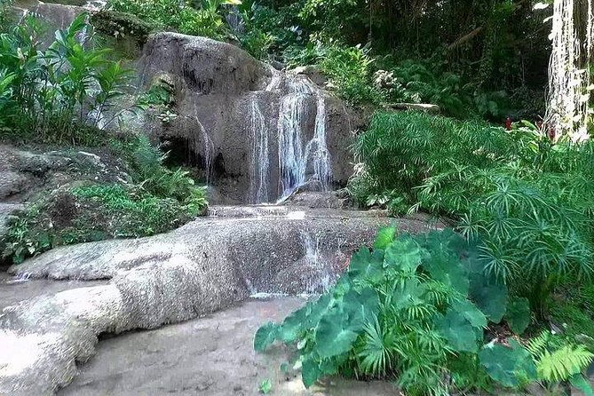Konoko Falls and Garden Tour From Falmouth