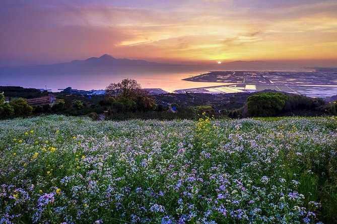 Kumamoto Private Customizable Full Day Tour