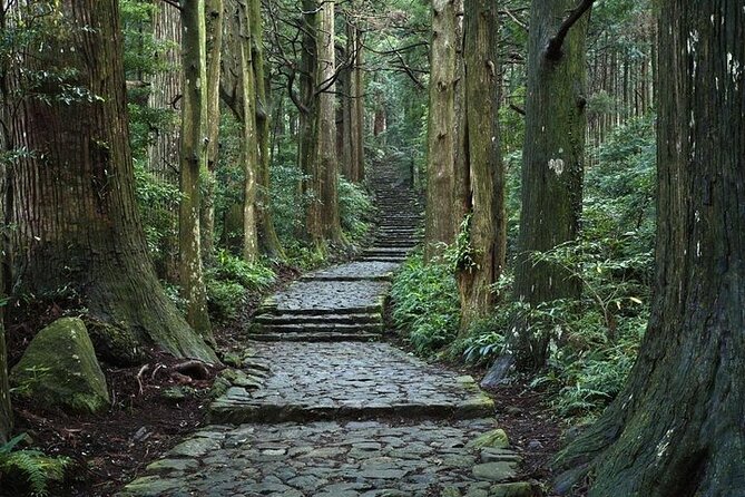 Kumanokodo 2 Day Walking Tour From Osaka - Inclusions and Exclusions