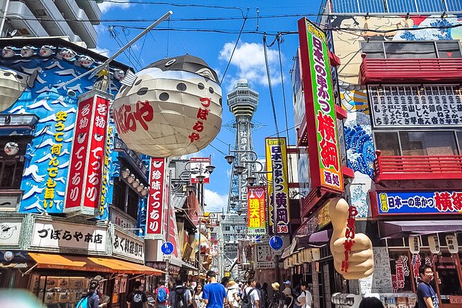 Kyoto City, Osaka City, Nara City Private Taxi Intercity Transfer - Service Details