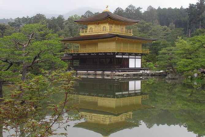 Kyoto ITALIAN GUIDE Golden Pagoda Bamboo Forest Dry Garden