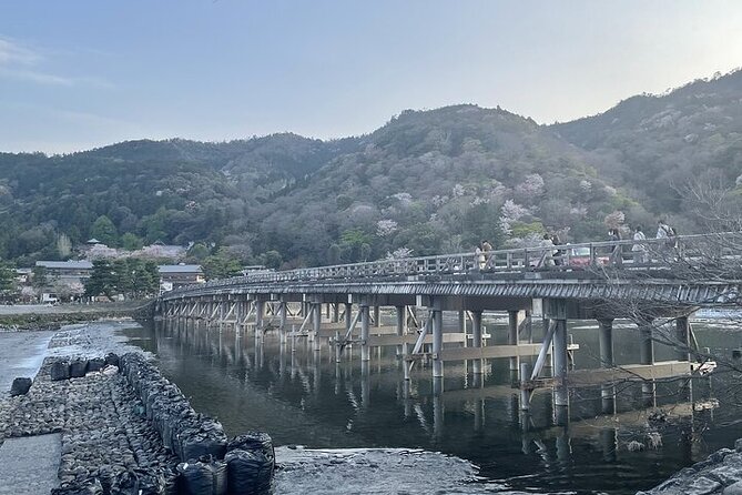 Kyoto & Nara 1 Day Private Charter Car Tour From Osaka or Kyoto