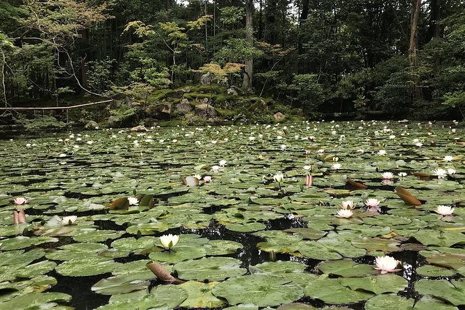 Kyoto: The Path Less Traveled (Private)
