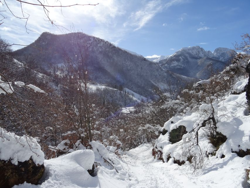 La Raya: Winter Sources Snowshoe Walk